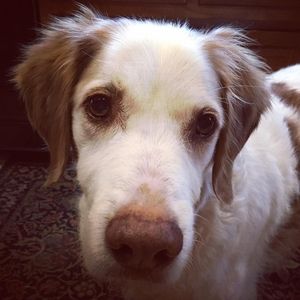 Meet your Posher, Marilyn